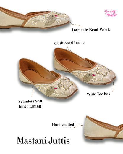 Mastani Handcrafted Parrot Embroidery Juttis - Details